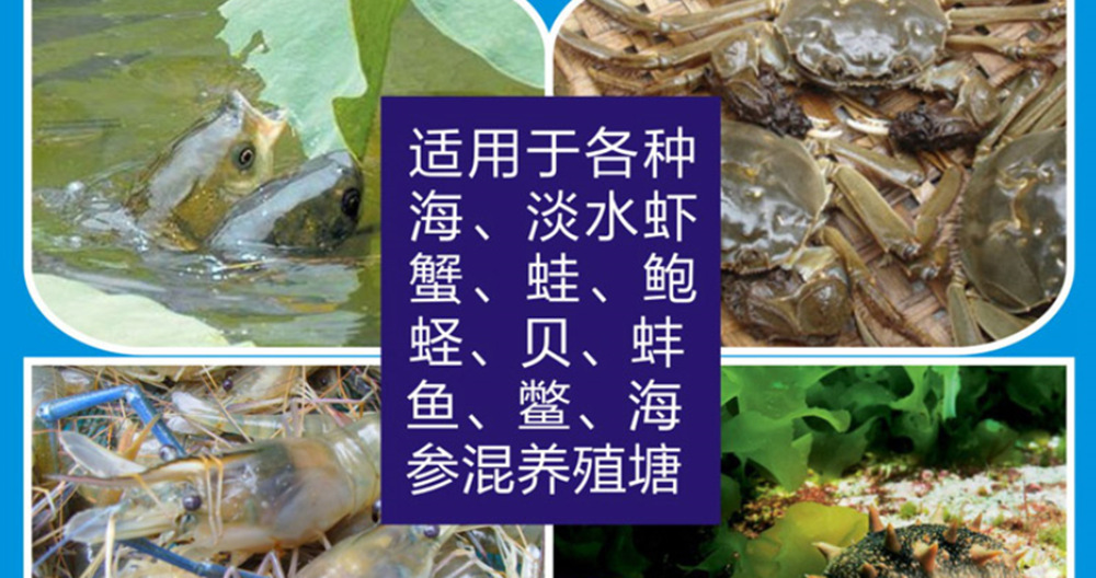 市净率是公司股票价格与每股净资产的比率