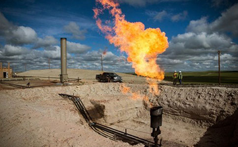 盈利稳定性显著增强